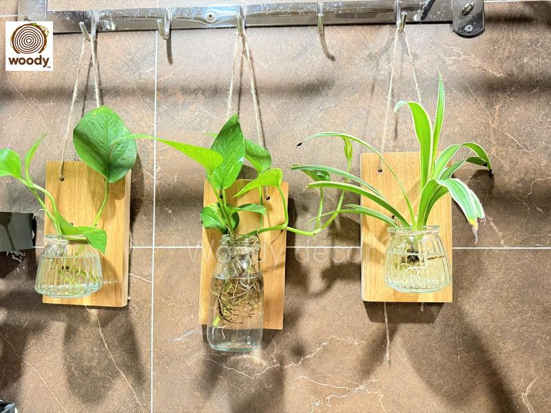 Bảng gỗ treo tường kèm lọ hoa mini, lọ thuỷ sinh treo ban công, bình thuỷ tinh treo tường decor quán cafe