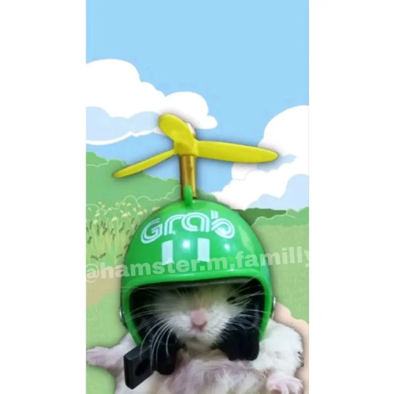 helm topi hewan hamster sugar glider 1
