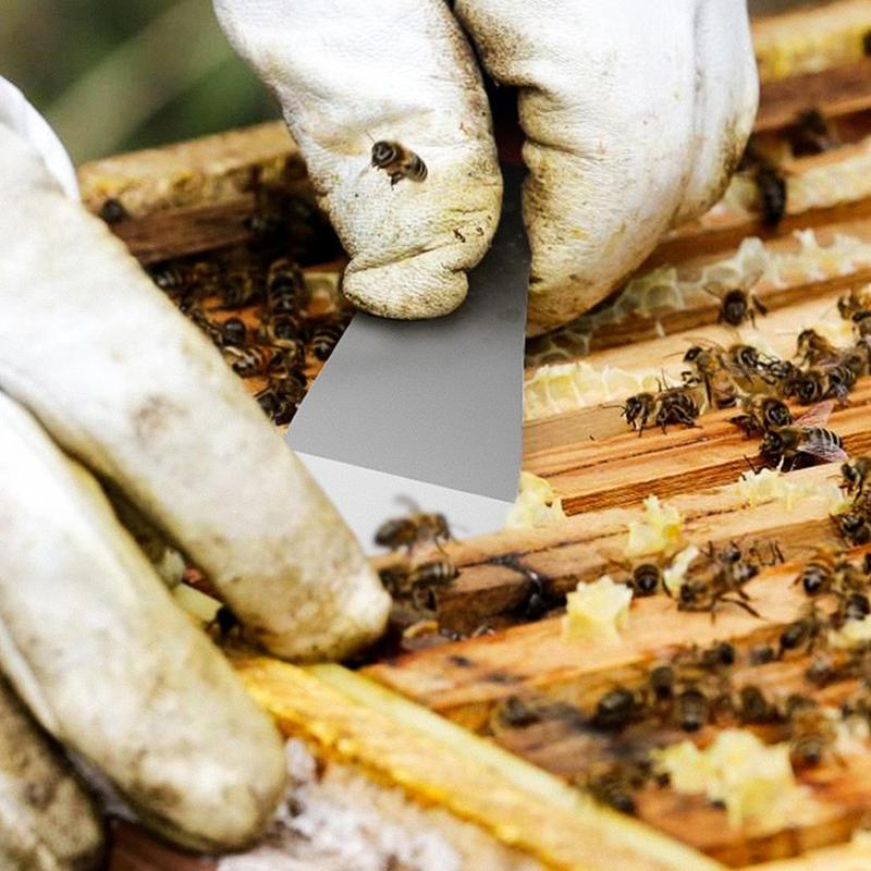Bộ Dụng Cụ Cạo Thanh Cậy Bằng Thép Không Gỉ, 2 Chiếc, Dụng Cụ Kéo Đinh Cậy Phẳng, Dụng Cụ Mộc 2