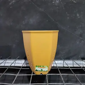 Pot Kuning (harga Aglao 625-1000)