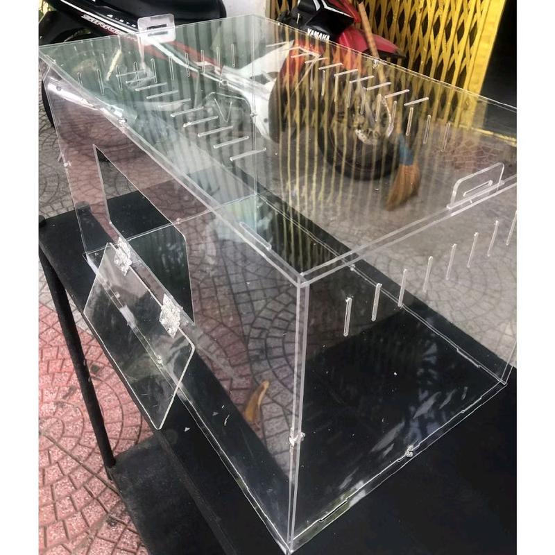  Chuồng Hộp Nuôi Bò Sát Côn Trùng Chuột Hamster Nhện Cỡ Lớn Mica Trong - Dạng Lắp Ghép 