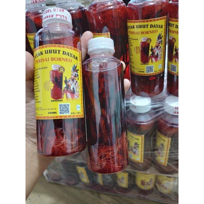MINYAK URUT DAYAK PERISAI BORNEO KALIMANTAN 250ml viral Tubuh