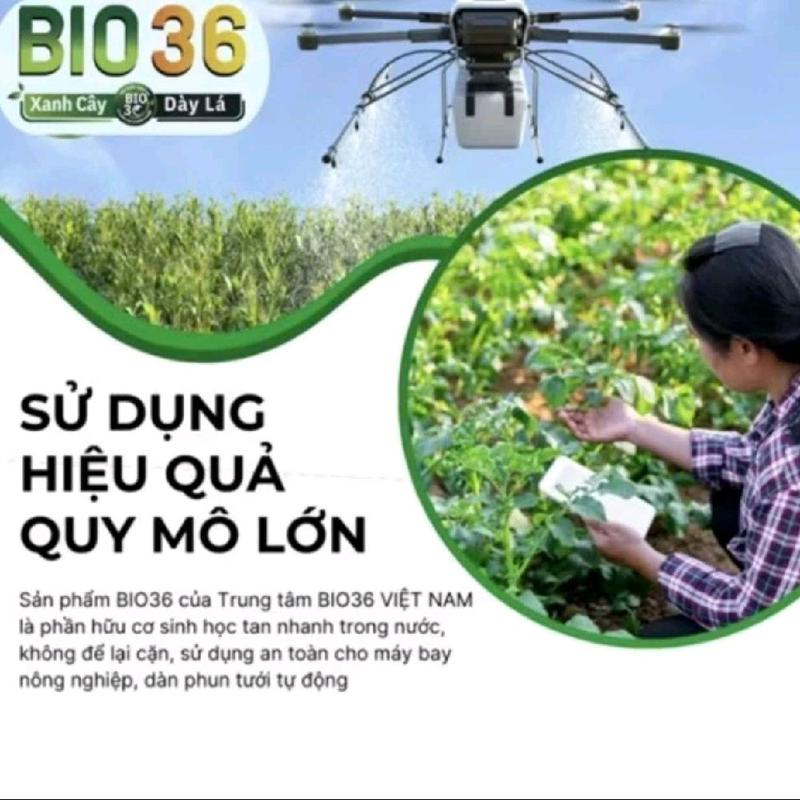 Mua 3 tặng 1 Bio 36 500g siêu kích rễ đi đọt nhanh, tăng năng suất, Bio36 khỏe cây dày lá, phục hồi cây sau thu hoạch 3