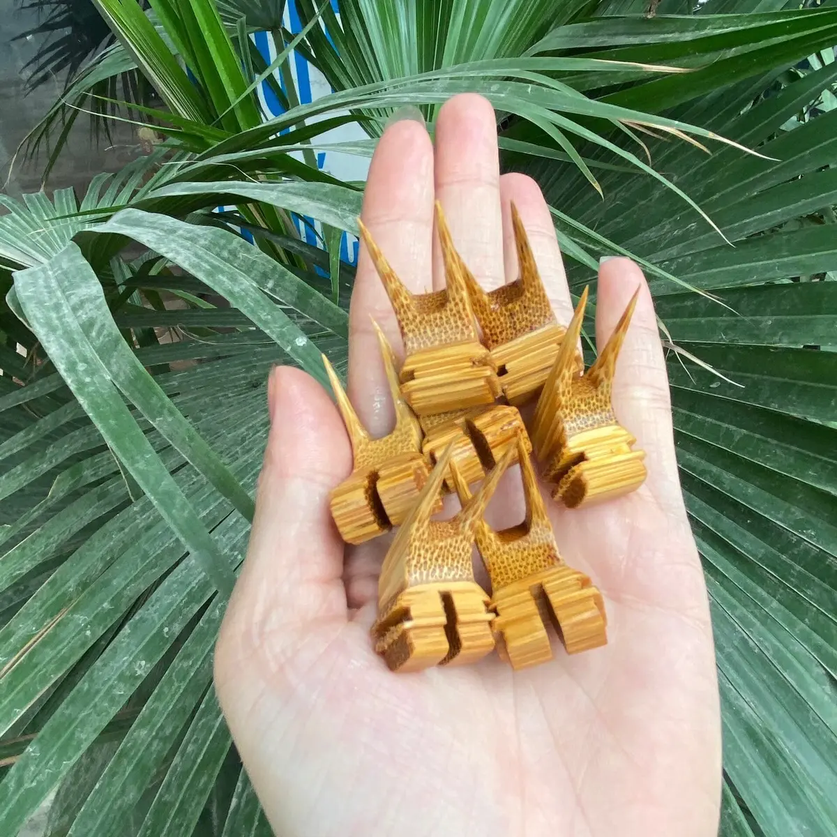 Xiên chuối tre già cao cấp cho chim chào mào