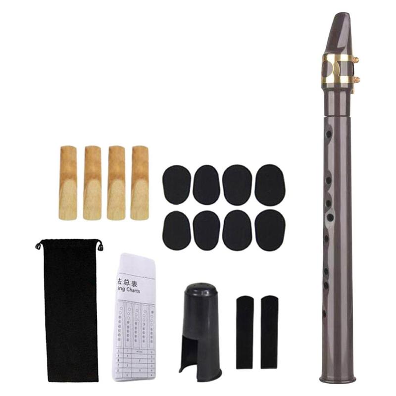 Mini Pocket Saxophone Portable Woodwind Instrument for Kids ...
