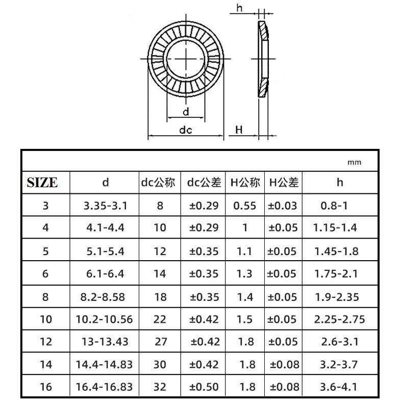(INOX304) Set 10 cái M4-M8 Long đen chống xoay dạng nón inox304 M4, M5, M6, M8 7