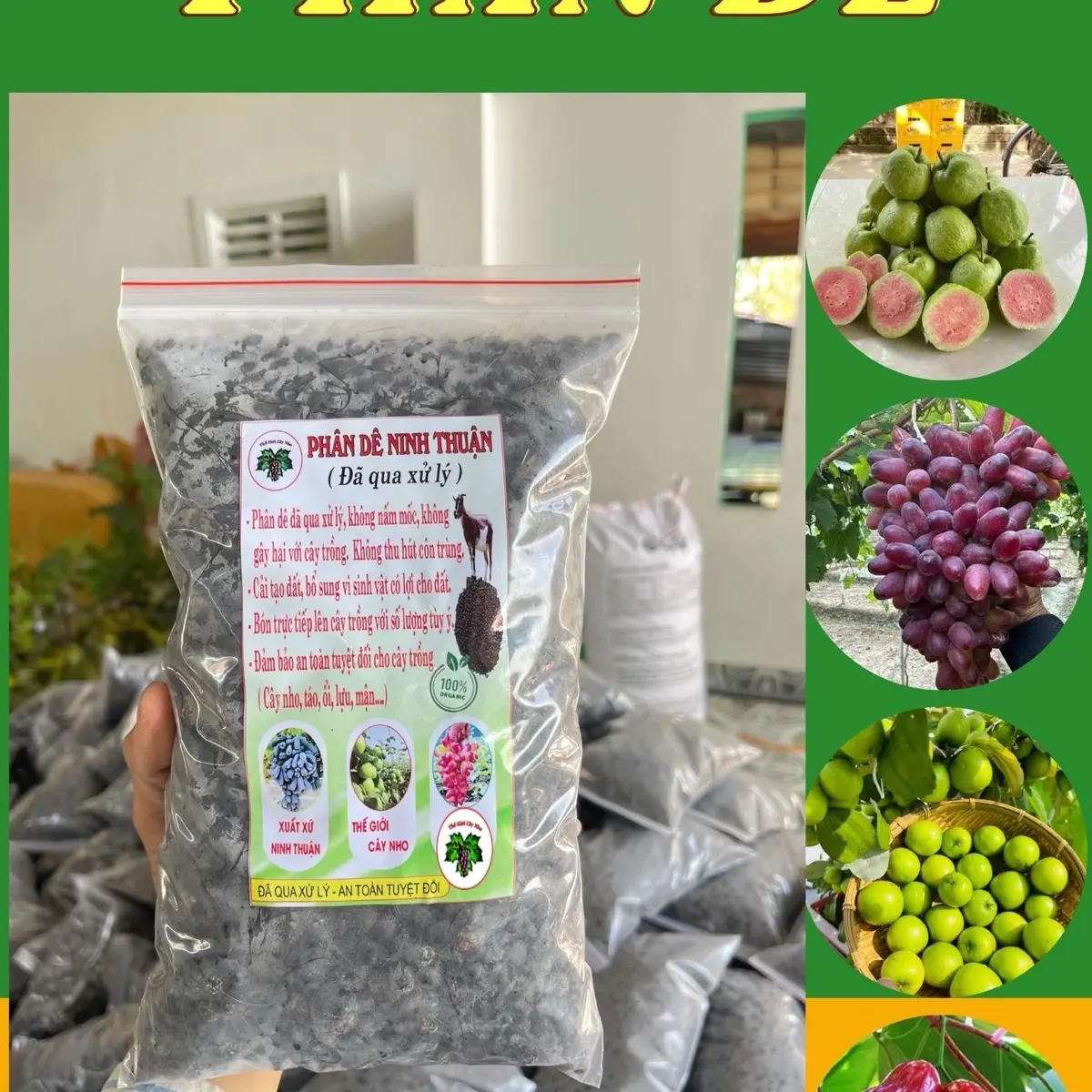 Phân dê ninh thuận (đã qua xử lý, dạng hạt) , chuyên bón cho cây nho, táo, ổi, mận .... các loại cây ăn quả khác