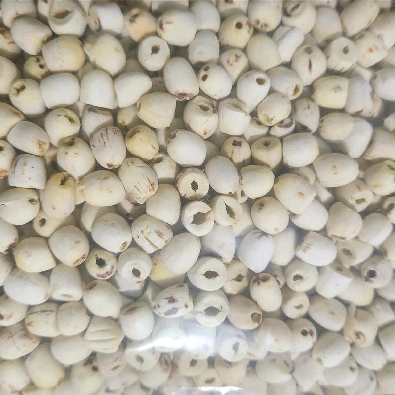 Hạt sen khô Huế loại 1 túi zip 500g Food