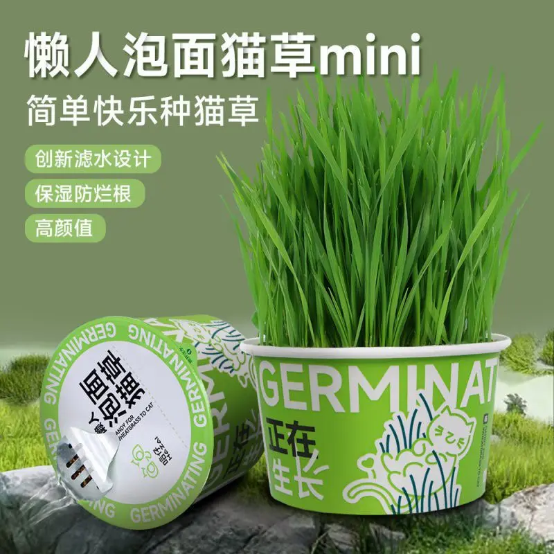 Lazy Instant Noodles Cat Grass Cup Soilless Hydroponic Filter Hair Removal Fur Ball New Cat Dog Pet Supplies Mini