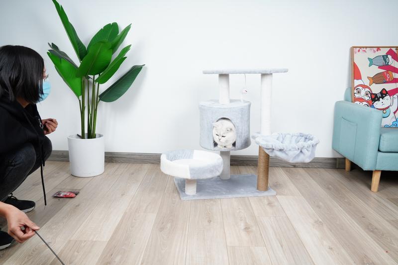 Product Introduction of Ready to ship 2-story cat condo, cat climbing frame ‼️ Cat condo, cat scratching post, cat bed, cat toys, cheap cat condo # P122. 2