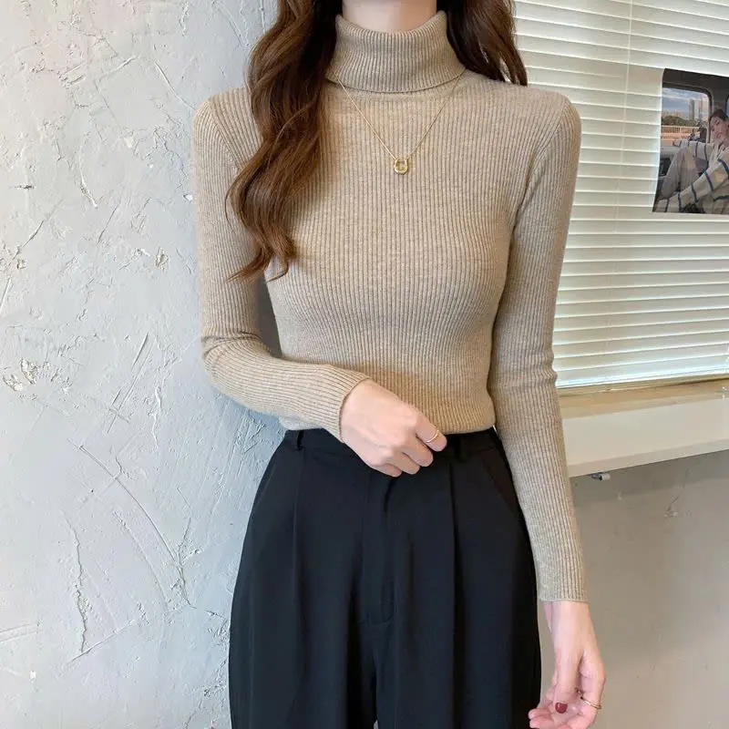 Áo len tăm cổ lọ 7cm dài tay dáng ôm body giữ nhiệt co dãn cho nữ Women áo  len áo  len Top Nhung 6