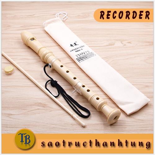 Sáo Recorder 6, 8 lỗ [Tặng kèm khóa học ] chuẩn sáo học sinh học tập TB22 DHS