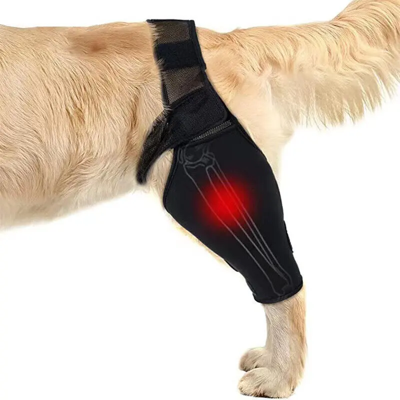 Nẹp Đầu Gối Cho Chó Cưng, Để Bong Gân Và Viêm Khớp, Hỗ Trợ Nẹp Chân Sau, Cho Chó, Giảm Đau Khớp 6