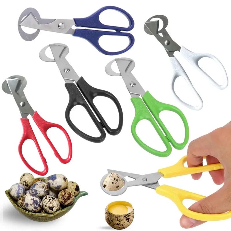 Durable Multifunction Kitchen Tools Stainless Steel Blade Quail ...