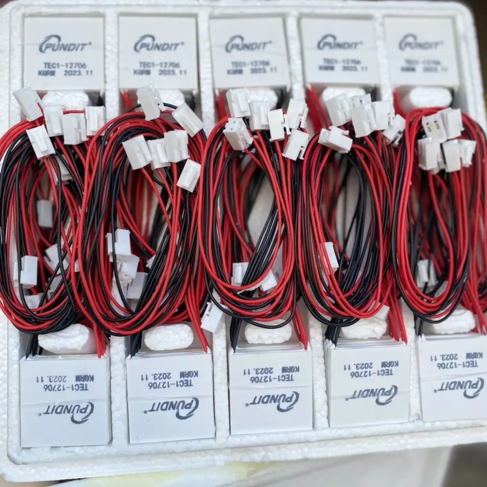 Chip lạnh 12706 máy lọc nước dùng cho Kangaroo, Karofi, Sunhouse...