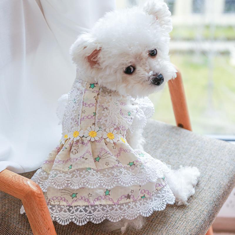 Cat Floral Print Lace Pet Dress, 1 Count Elegant Princess Style Summer Dog Dress for Small Girl Puppies Doggies Kittens, Fashionable Pet Clothes Dogs Outfit 0