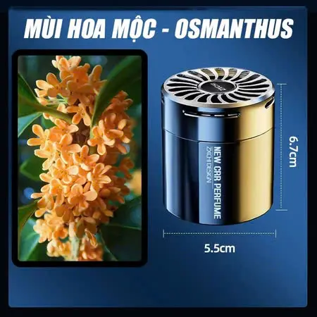 Sắp Thơm Ô Tô Cao Cấp Chính Hãng Botany Perfume, Khử mùi, Lưu Hương 360 Ngày, Phiên Bảng Nâng Cấp Nội Thất 8