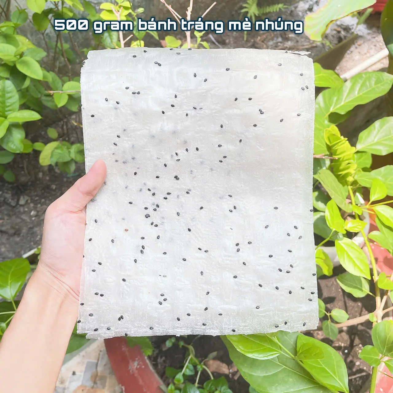 500 Gram Bánh tráng mè đen đặc sản phan rang hàng loại 1 ,bánh tráng nhúng mè đen, bánh mè cuốn dẻo thơm nhiều mè