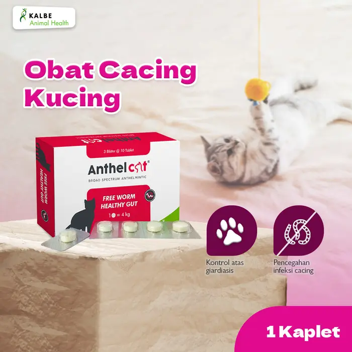 BUKAN TIRUAN !!! Anthel Cat 1 Tablet - Obat Cacing Kucing by Kalbe [ORIGINAL]