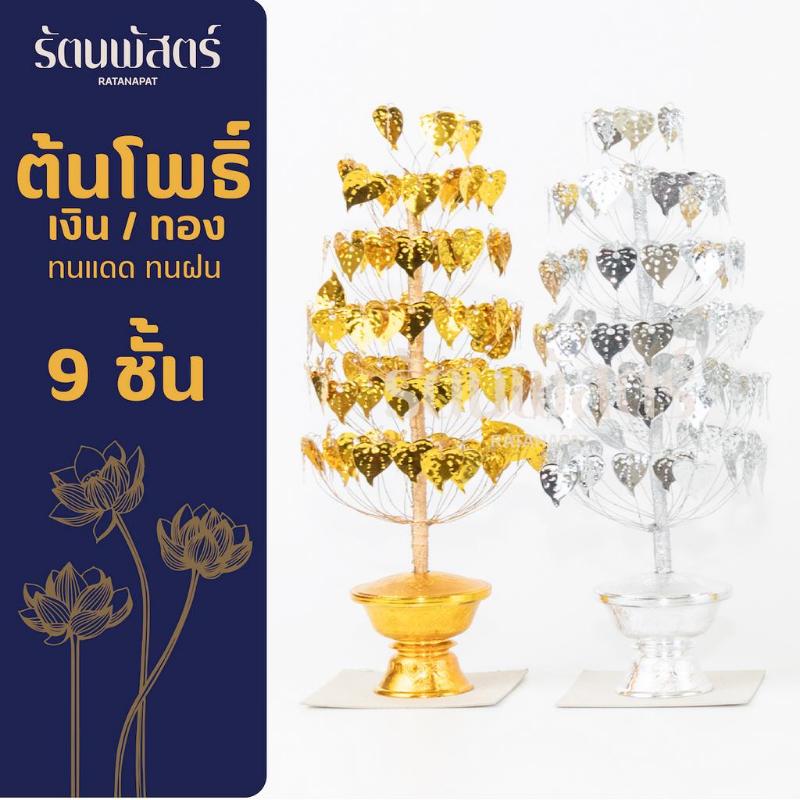 Product Introduction of จัดส่งที่รวดเร็ว ต้นโพธิ์ ต้นโพธิ์ตั้งศาล ต้นโพธิ์เงินโพธิ์ทอง เบอร์9 0