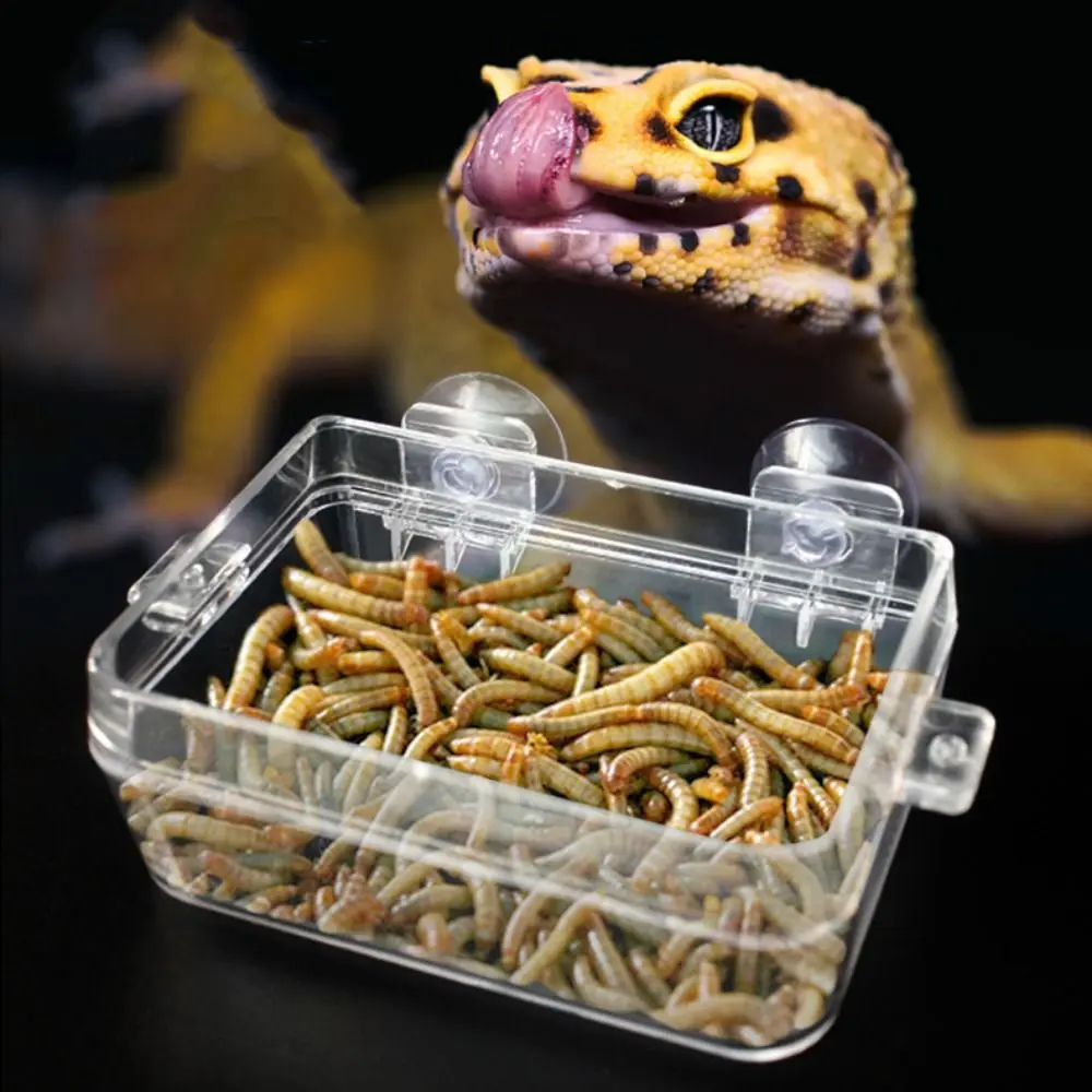 Durable Anti-escape Suction Cup Reptile Feeder Dish Plastic with Suction Cup Reptile Anti Escape Feeder Snakes