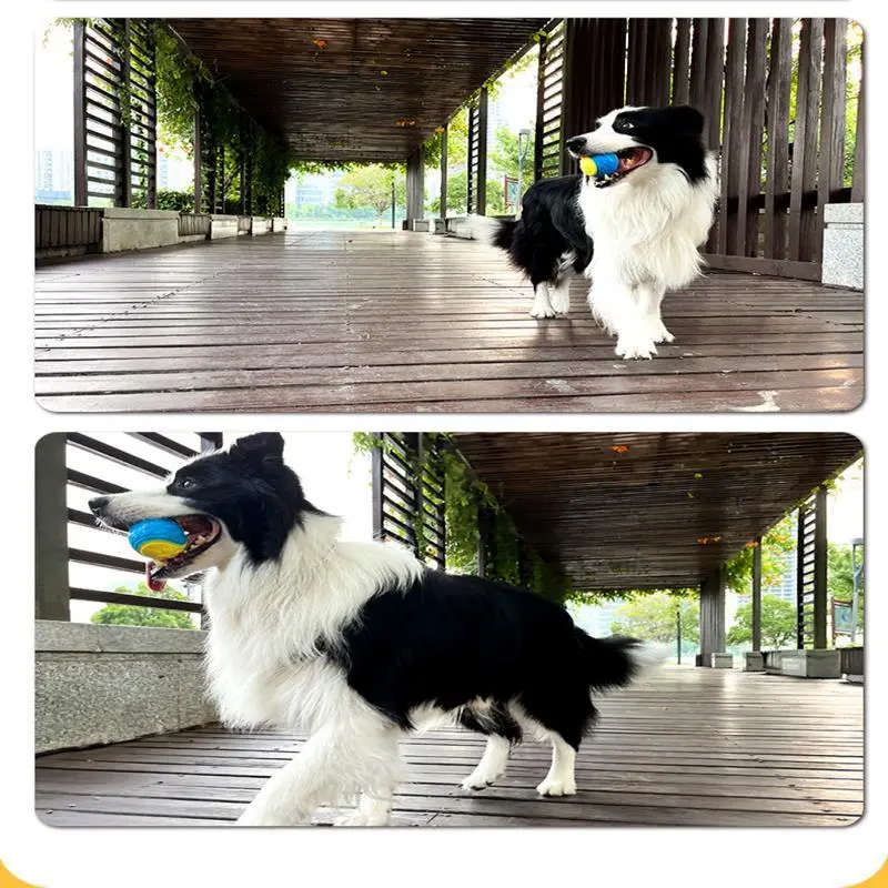 (KK-Cat)  Chó đồ chơi tương tác mềm TPR đồ chơi cho chó răng thú cưng làm sạch chống cắn Bóng bóp kêu đồ chơi 5