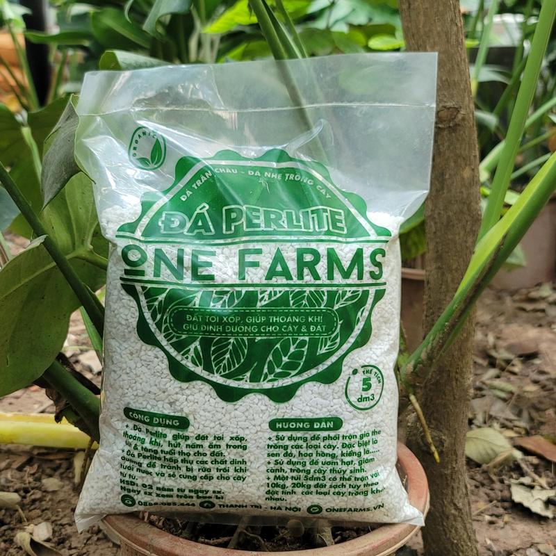 [520- 550gr Mua 5 tặng 1] Đá Perlite (Đá Trân Châu) giá thể giàu khoáng chất, ổn định cấu trúc đất.