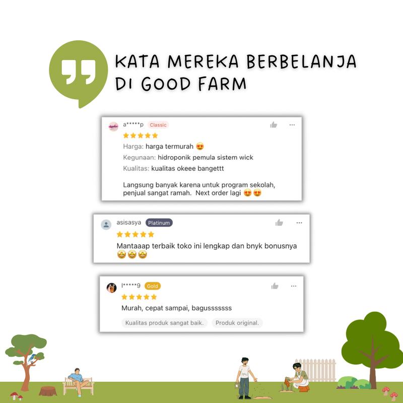 Benih premium selada hijau kemasan urban farming 2