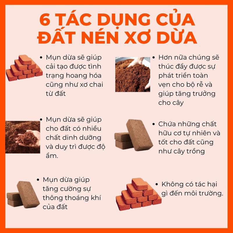 Combo 5 Viên Nén Xơ Dừa Hữu Cơ - Đất Trồng Cây Tiện Ích