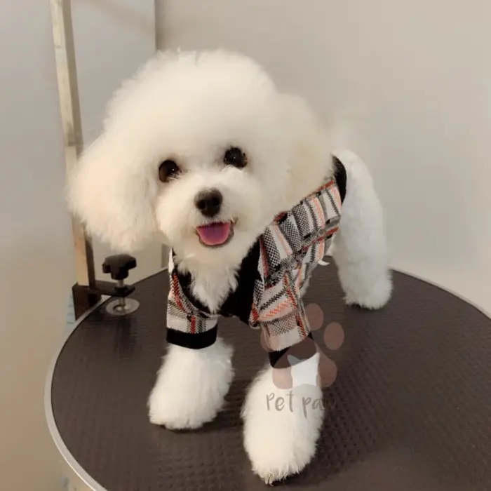 Petpaw Baju Anjing Kucing Cardigan Square Pattern Outer Premium Import 3