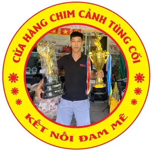 Tùng Cối Quảng Ninh