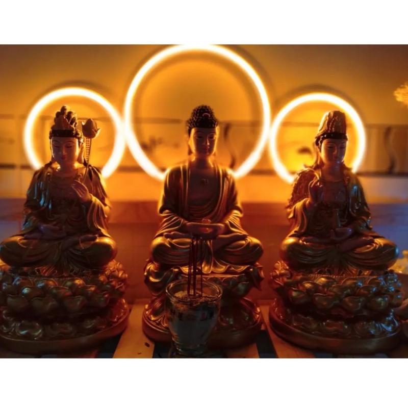 Vòng đèn led neon đơn giản dễ lắp đặt thờ phật giá tốt có kèm bộ nguồn thanh nhôm ốc