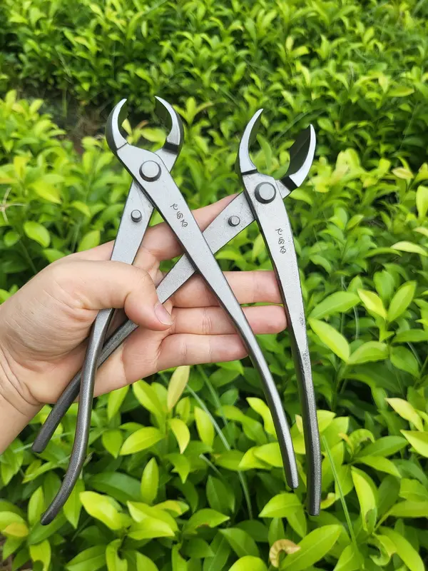 Cạp tròn, Cạp Xéo, Cạp Bonsai Nhật Bản - Dụng Cụ Nông Nghiệp - Thảo Anh 4