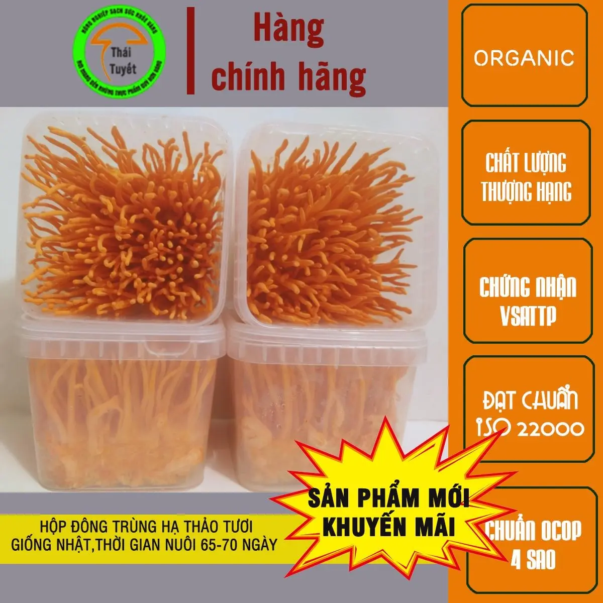 Combo 6 hộp Đông trùng hạ thảo, bảo hành 1 Đổi 1 - Sản phẩm Đóng gói thùng xốp và Đá khô