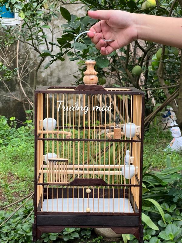 KHUNG LỒNG TỰ RÁP gỗ mun nan tre cho chim Hút mật ốc mít khuyên thái đấu vuông đấu kt 25*37 kèm dầu bóng và keo