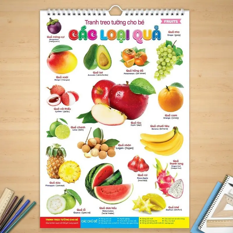 Bộ tranh treo tường,14 chủ đề cho bé từ 1- 5 tuổi- học nói tăng nhận biết quan sát 3