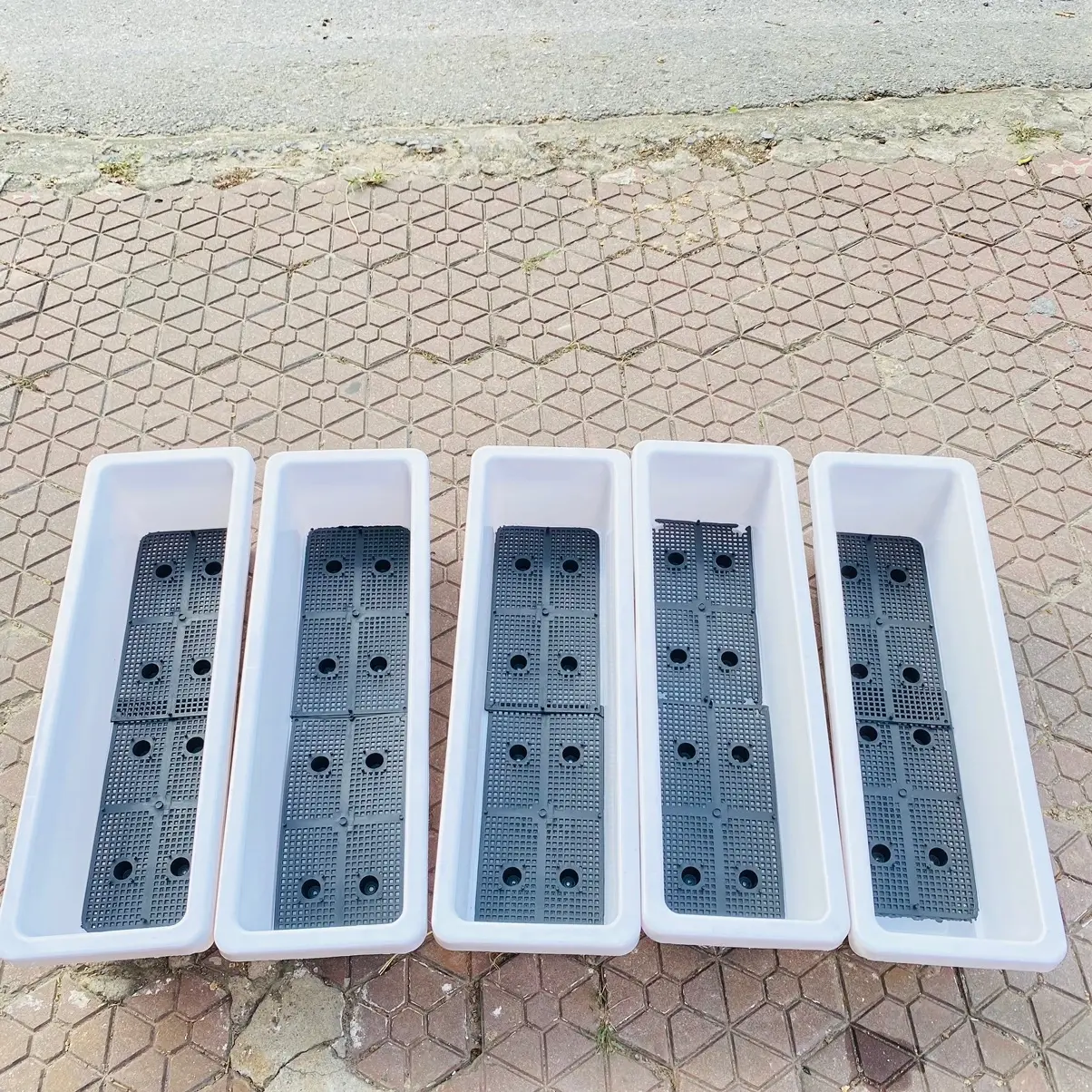￼COMBO 5 Chậu Dài Trồng Rau size to dài 60x20x16cm, Chậu Trồng Hoa Ban Công, treo ban công chung cư tiêt kiệm diện tich, trang trí cây rủ xanh mát cho ban công