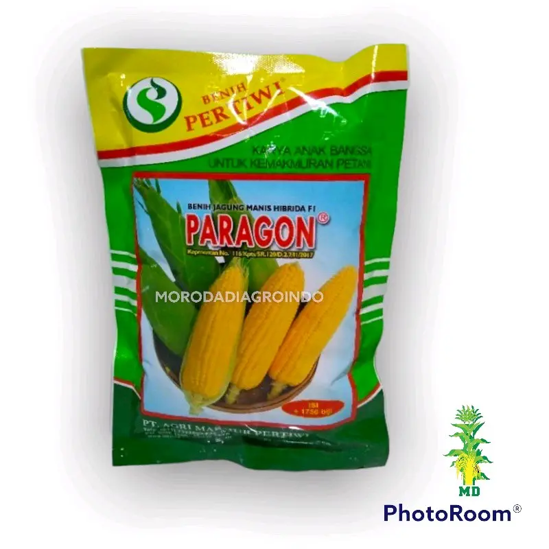 Benih jagung manis hibrida paragon F1 pertiwi 250 gr