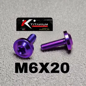 baut probolt titanium 6x20 drat 10 panjang 2 cm payung big head vietnam