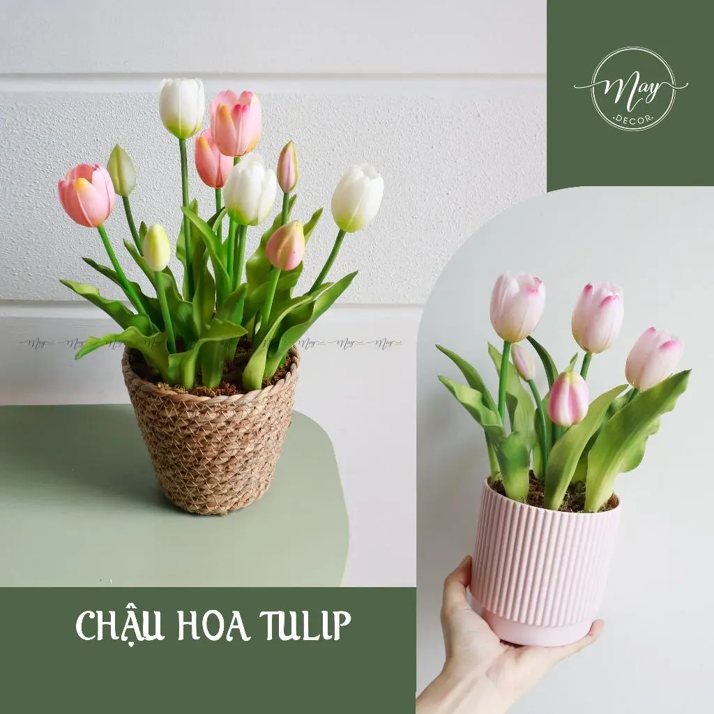 Chậu Hoa Tulip chất liệu cao su loại đẹp Decor Bàn Decor Phòng Trang Trí Nhà