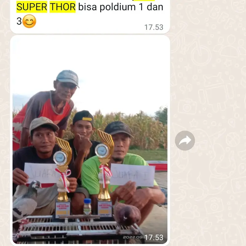 Jamu Merpati Superthor isi 120 butir 6
