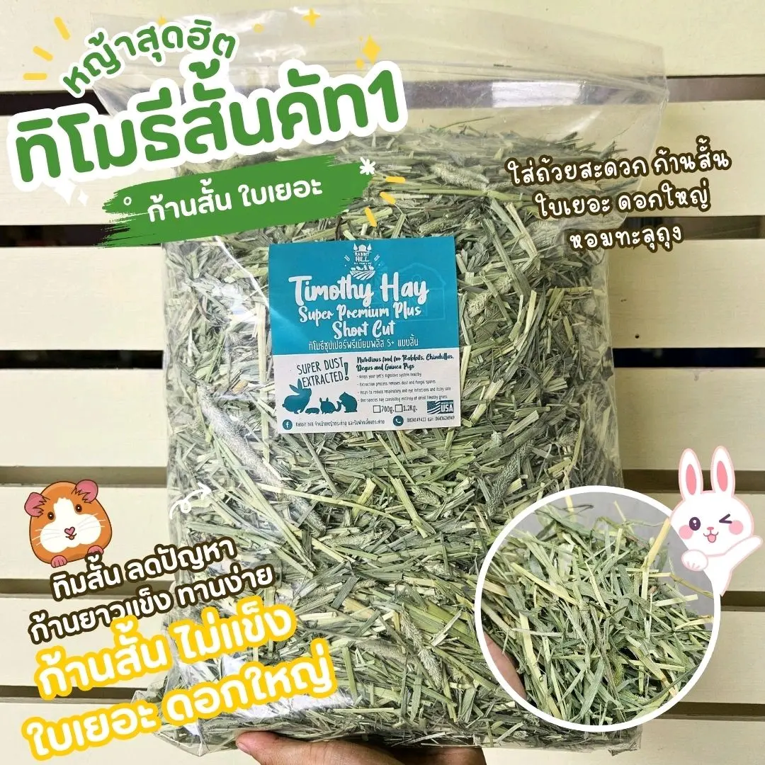 หญ้าทิโมธีคัท 1 แบบสั้น นิ่มใบเยอะ หญ้ากระต่ายแกสบี้ไม่ชอบก้านยาว