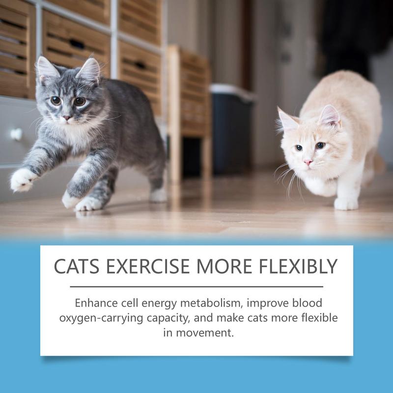 Product Introduction of [OY Pet Shop] Cat Coenzyme Tablets Guard Health and Vitality Exclusive for Cats Coenzyme Q10 Absorption Nutrition Supplement 8