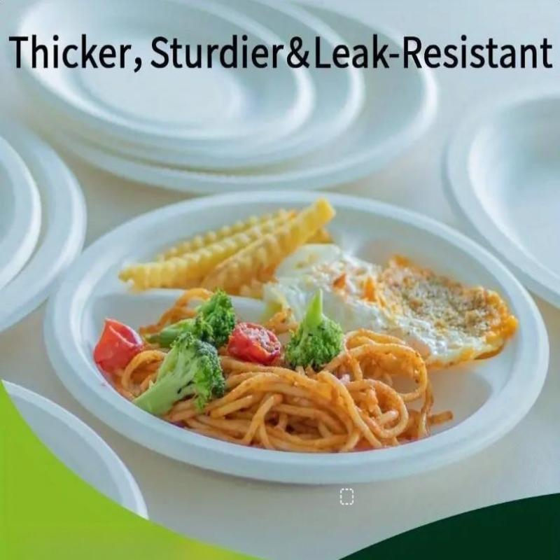 9 Inch Disposable Paper Plate, 100pcs/set 3 Compartment Disposable Paper Plate, Disposable Tableware for Party, Picnic, Camping 3