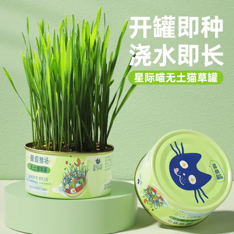 StarCraft Meow Cat Grass Can Spit Hair Ball and Remove Hair Promote Soilless Cultivation Catnip Pet Cat Snacks Cat Snacks