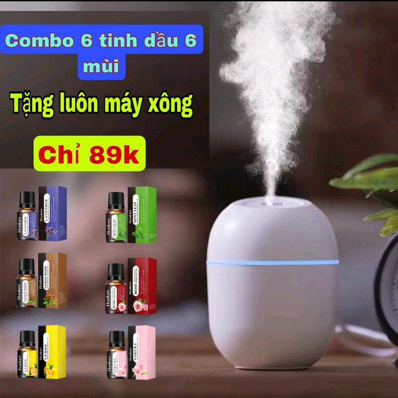  Combo 6 tinh dầu xông phòng 6 mùi tặng kèm 1 máy xông mini máy phun sương ,15-20m combo trải nghiệm giá chỉ 89k 