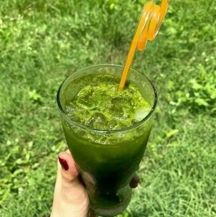 BỘT RAU MÁ SẤY LẠNH ( bột nguyên sơ) (  hộp 500gr) xem phần lưu ý trước khi đặc hàng 6