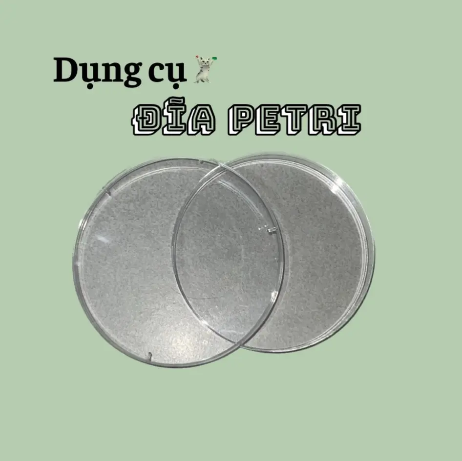 Đĩa petri tách mầm dùng để tách dung dịch
