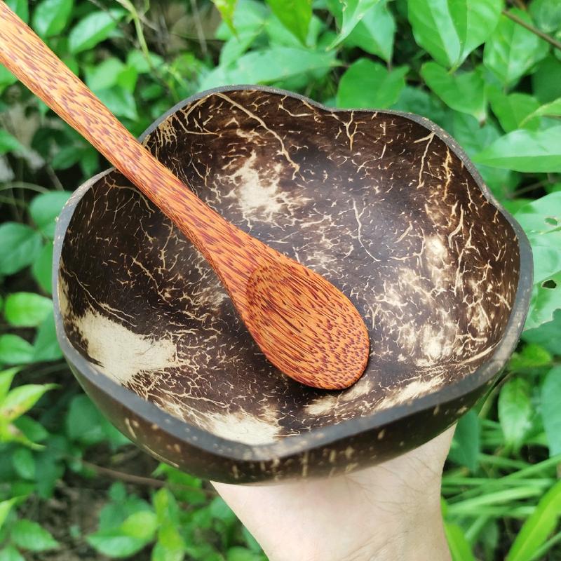 Combo chén gáo dừa hình hoa và muỗng gỗ dừa I.
