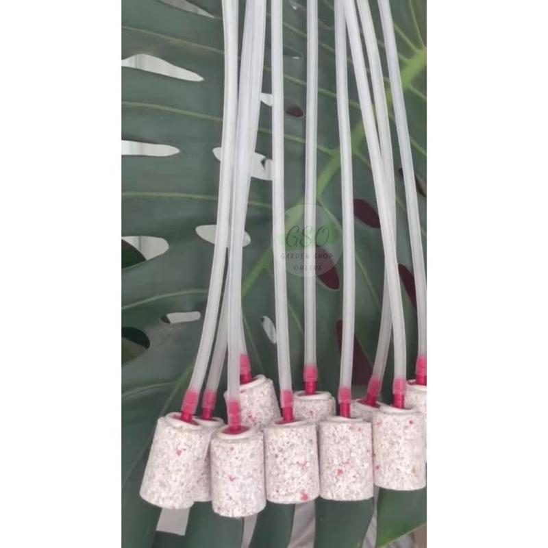 Product Introduction of Combo Dây oxy + sủi cho hồ cá, dây oxi 1